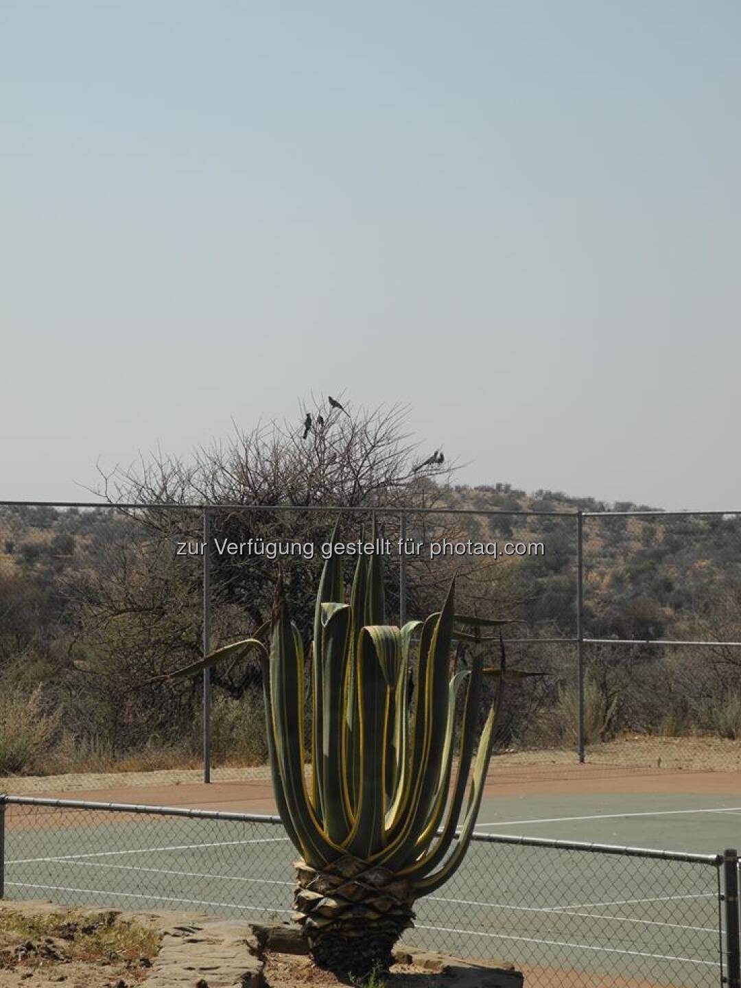 Namibia, Tennisplatz