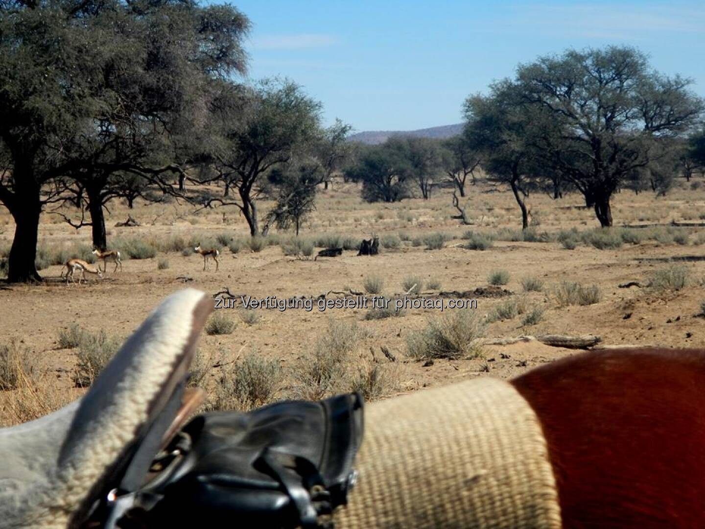 Namibia