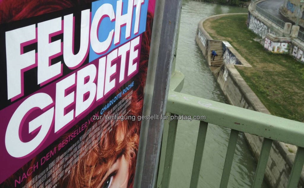 Feucht Gebiete, Donaukanal, Wasser (28.08.2013) 