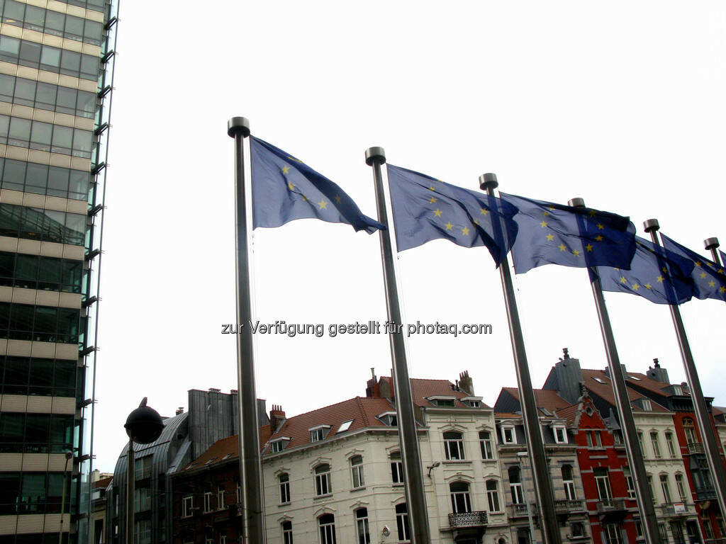Brüssel, Fahnen, EU, © Wolfgang Wildner (08.09.2013) 