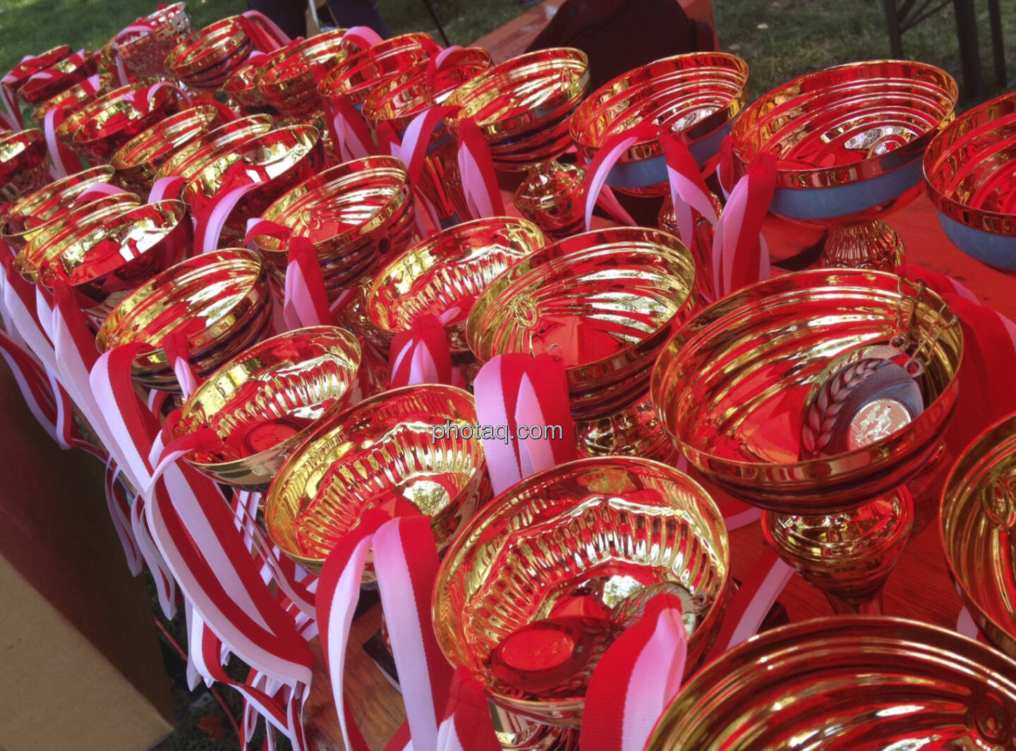 Donauparklauf 2013: Pokale, rot-weiss-rot